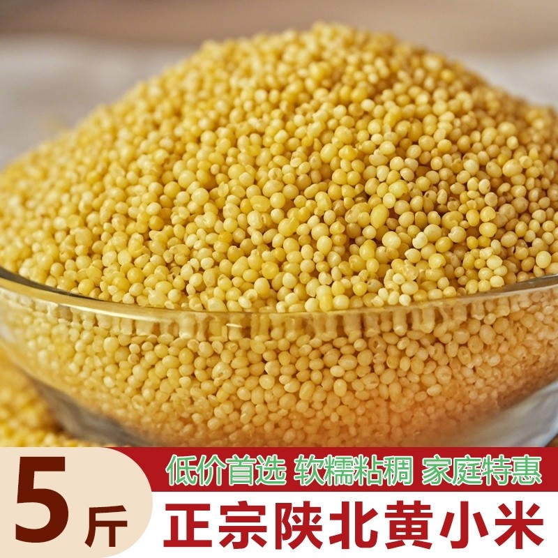 优质米脂小米陕北黄小米油小米当季五谷杂粮真空食用益康小米5