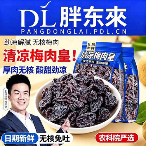 胖超市东来劲凉梅肉话梅皇无核九制梅肉果脯果干小零食酸甜清健康