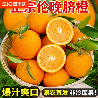 秭归伦晚脐橙子湖北手剥橙果冻甜橙整箱橙子水果新鲜应当季水果