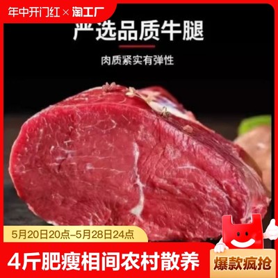 沂蒙山黄牛牛腿肉牛腩4斤肥瘦相间农村散养土清炖青岛发货牛肉