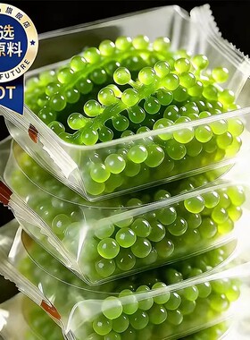 【农科院甄选】儿童海葡萄即食