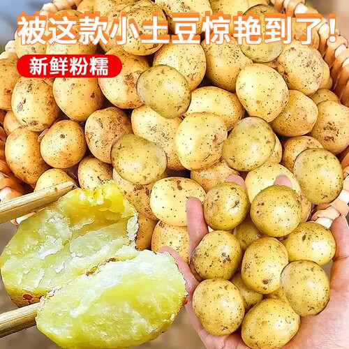 精选迷你小土豆新鲜蔬菜黄心小土豆农家自种现挖粉面软糯整箱批发