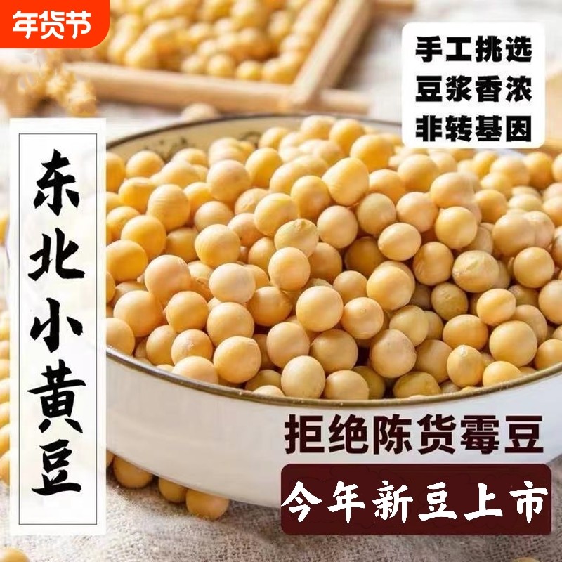 新货东北大黄豆新鲜大豆非转基因黄豆大豆子豆浆原料营养早餐新豆