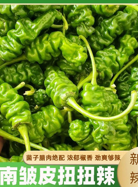 云南皱皮扭扭辣椒新鲜绿色蔬菜农家自种新鲜辣椒薄皮螺丝青椒辣椒