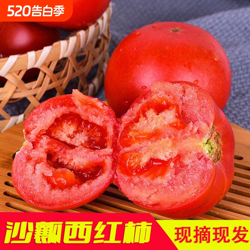 甘肃沙漠沙瓤西红柿农家新鲜西红柿顺丰包邮农家自种