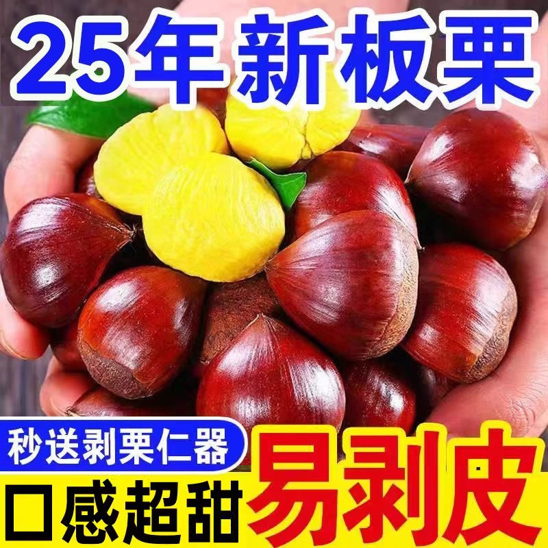 丹东板栗新鲜生嫩大板栗