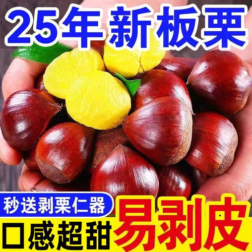 丹东板栗新鲜生嫩大板栗