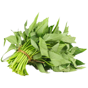 国货甄选大叶空心菜种子圆叶四季菜苗菜籽蔬菜种籽底部防虫植物