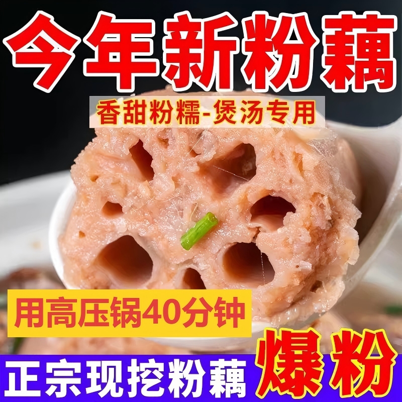 正宗洪湖粉藕新鲜莲藕煲汤九孔藕