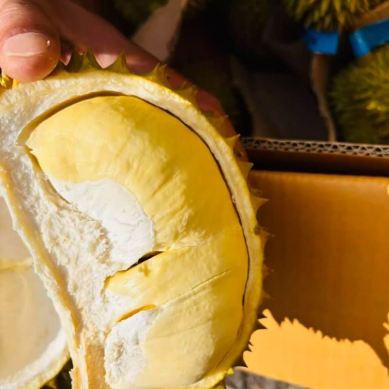 辉辉仓库直发泰国老树小巴掌金枕一个装3_4斤核小果形丑肉多软糯