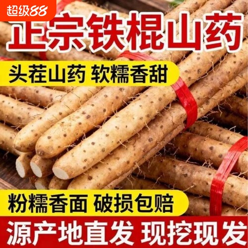 正宗小白嘴山药铁棍山药新鲜现挖山药老少皆宜宝宝辅食5斤装