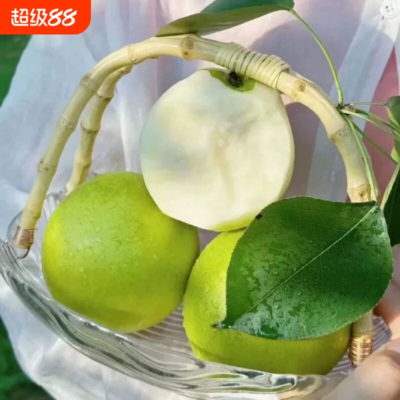 正宗安徽砀山青梨新鲜新鲜皇冠梨汤山酥梨农家当季脆甜梨整箱包邮