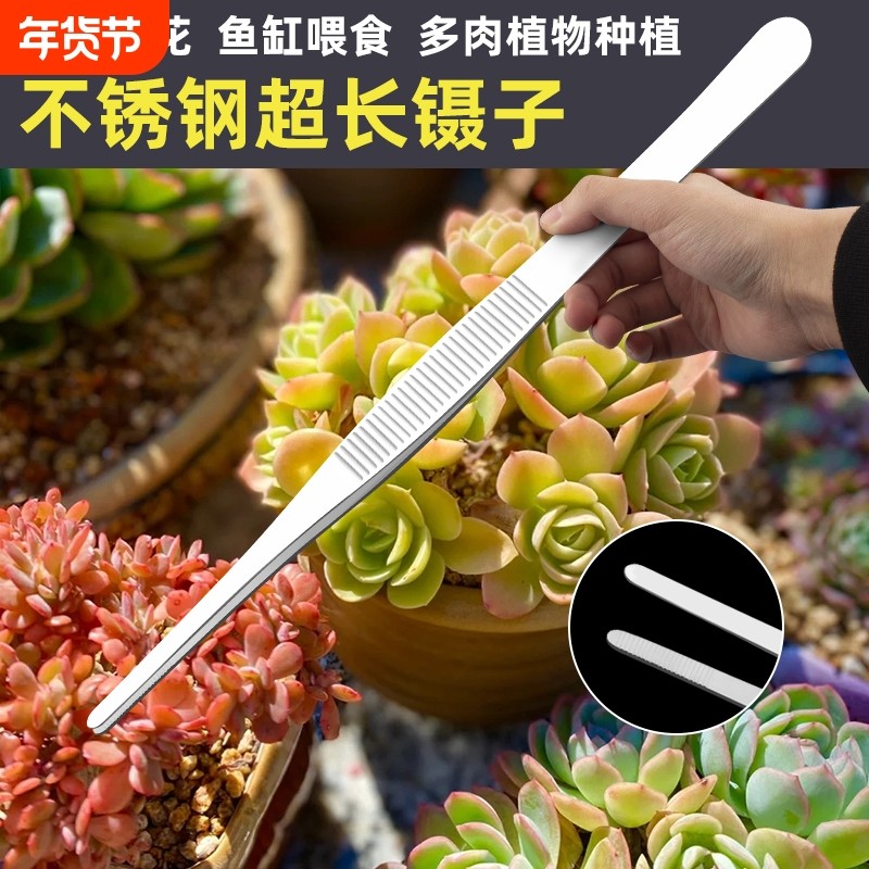 镊子不锈钢园艺长夹子大镊子取物加长鱼缸喂龟养花多肉专用下水道,五金/工具,其它夹持类工具,淘宝优惠券,粉丝福利购,淘宝优惠卷