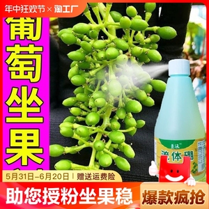 授粉座果精葡萄专用肥果树授粉座果专用座果稳叶面喷施省人工
