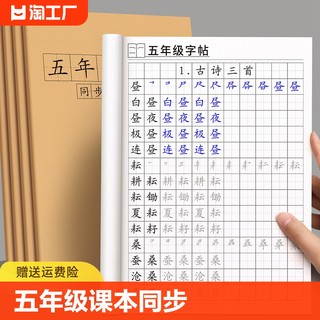 五年级上册下册同步字帖语文人教版生字钢笔练字帖小学生专用每日一练硬笔书法练习写字楷书练字本贴笔画笔顺练字正楷英语描红拼音