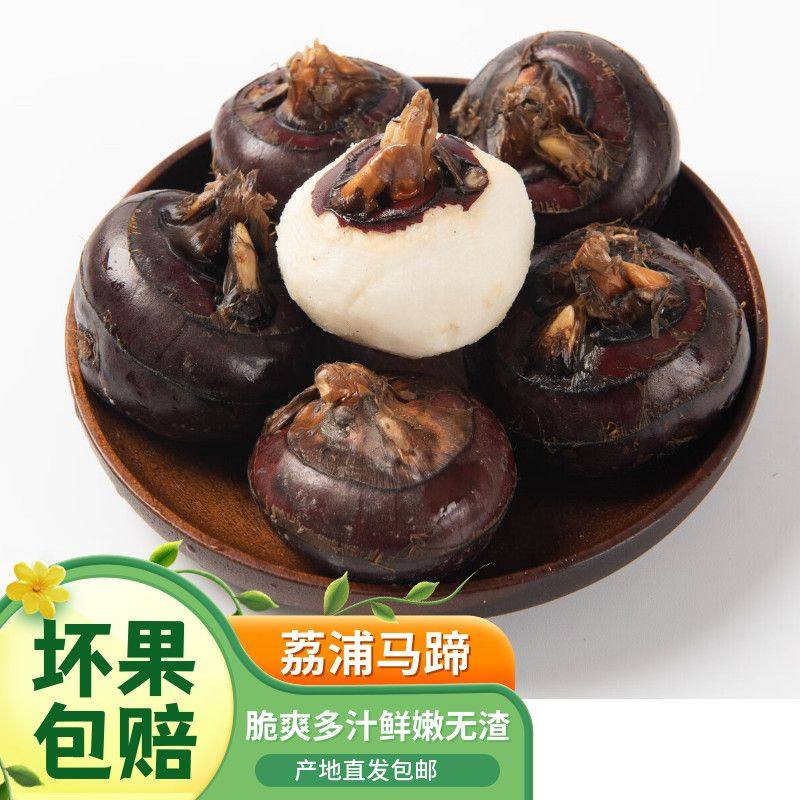 正宗广西荔浦马蹄脆爽味美可口