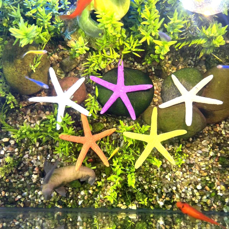 海星仿真珊瑚鱼缸造景观赏水草海星鱼儿伙伴鱼虾布景小套餐微景观