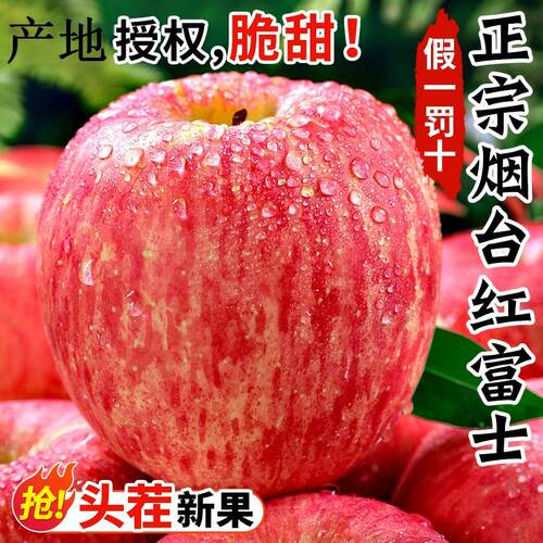 山东烟台红富士苹果特级果不打蜡脆甜爆汁水果新鲜当季整箱包邮
