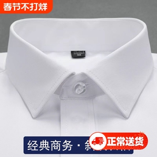 男士长袖职业装经典商务衬衣新疆棉舒适斜纹衬衫通勤工装工作制服