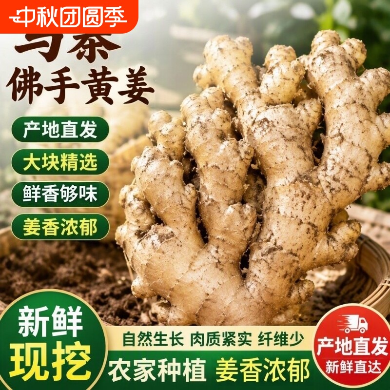 生姜老姜正宗马寨佛手老姜黄姜月子姜新鲜食现挖农家自种产地直发图片