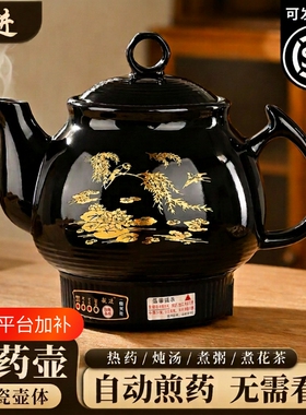 全自动中药煎壶家用煎药壶