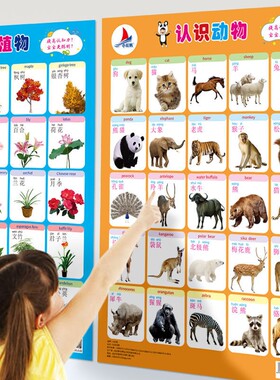 【官方正品】幼儿早教墙贴挂图3-7岁幼儿园拼音挂图蔬菜水果动物启蒙认知玩具3-7岁幼儿早教挂图蔬菜水果动植物启蒙认知学龄前教育