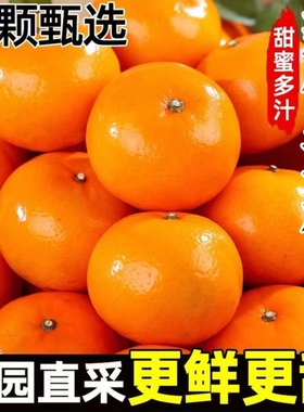 新鲜多汁现摘沃柑皮薄柑橘桔子鲜甜橘子当季孕妇水果彩箱果农直发