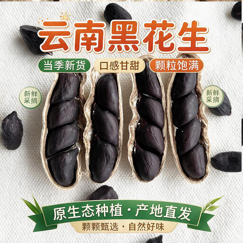 2026年黑花生带壳富硒生的种子云南特产普洱黑皮花生米新鲜晒干图片