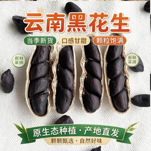 2026年黑花生带壳富硒生的种子云南特产普洱黑皮花生米新鲜晒干