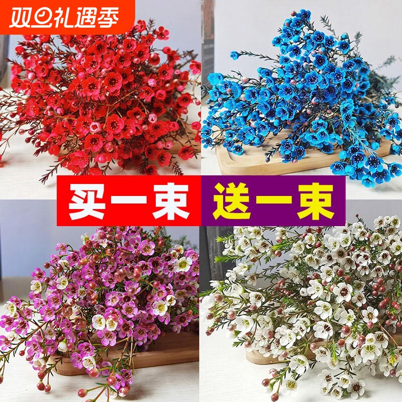 腊梅鲜花云南基地直发红粉色插水养冬季鲜切花同城速递年宵花鲜花