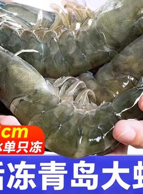 大虾鲜活基围虾青岛海鲜生鲜冻虾水产王牌速冻冷冻新鲜白虾虾尾