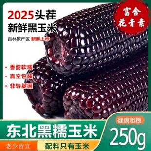 头茬大棒10支新黑糯玉米新鲜现摘真空装包甜糯黏黑玉米代餐