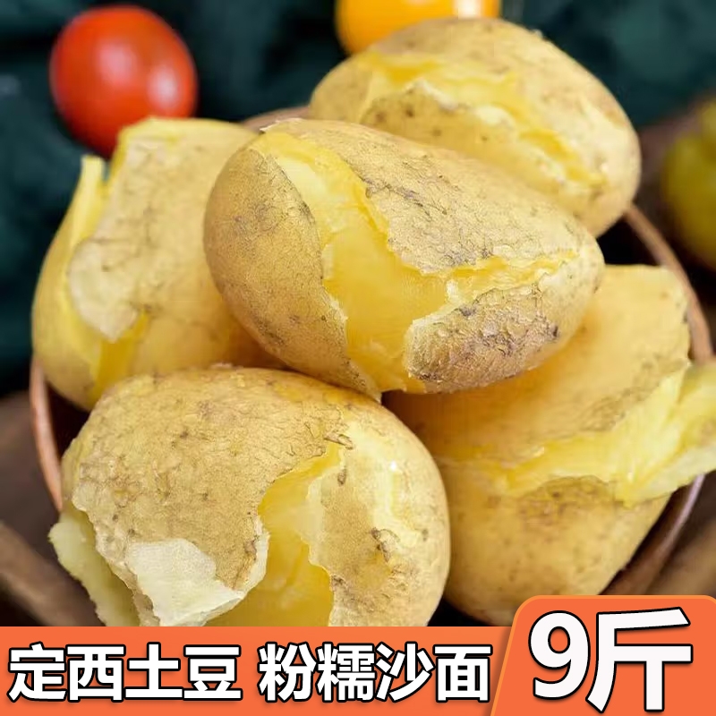 正宗甘肃定西土豆沙面黄心马铃薯蔬菜洋芋旱沙地种植新鲜现挖9斤