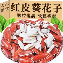 云南红瓜子3斤生的高原山地红皮葵花籽原味零食香甜新货零食特产