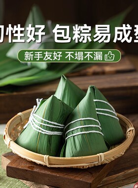 鲜粽叶端午节粽叶包粽子