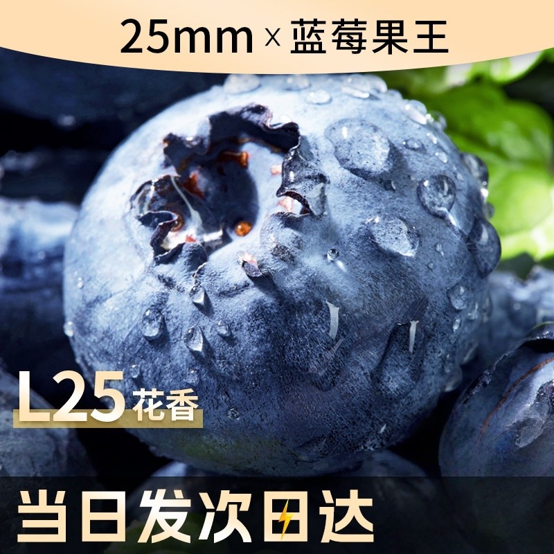 当季新鲜云南高山蓝莓鲜果正宗花香蓝莓果王现摘水果现货顺丰包邮,水产肉类/新鲜蔬果/熟食,蓝莓,淘宝优惠券,粉丝福利购,淘宝优惠卷