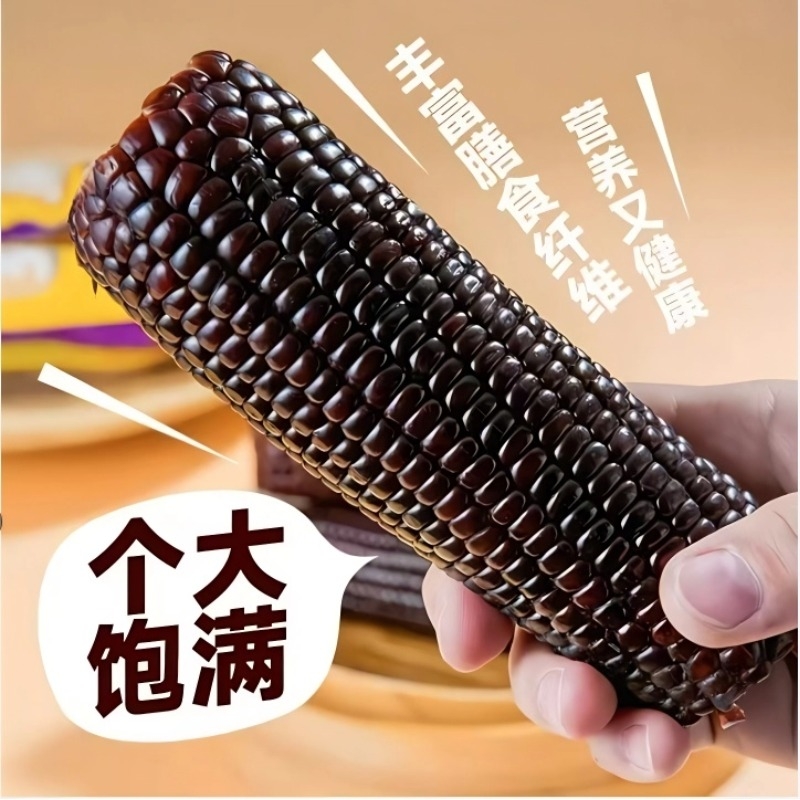 大棒新黑糯玉米新鲜现摘真空装包甜糯黏新黑玉米糯玉米代餐