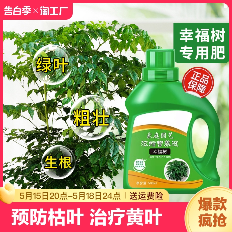 幸福树专用营养液绿植氮磷钾花肥