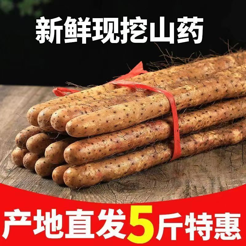 当季山药正宗垆土铁棍山药河南焦作温县淮山药新鲜怀山药蔬菜