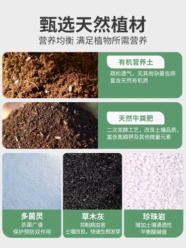 Питательный цветок