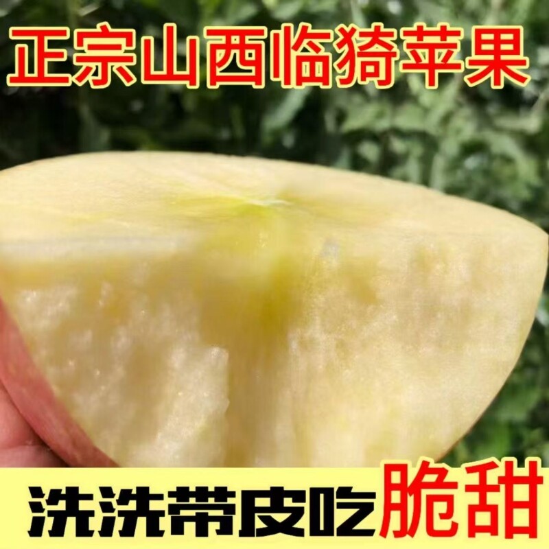 正品山西丑苹果运城红富士原生态新鲜苹果水果酥应季直发糖心整箱