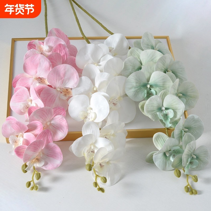仿真花蝴蝶兰手感过胶单支干花饰假花客厅餐桌摆设摆放兰花批发