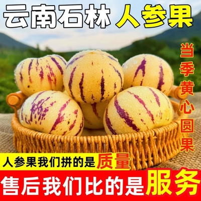 【精选】云南树上熟人参果圆果黄肉当季整箱新鲜现摘产地发甜多汁