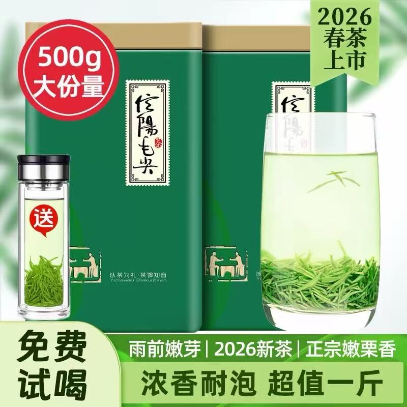 2026信阳毛尖明前茶叶绿茶新茶高山嫩芽浓香型散装春礼盒栗香型图片