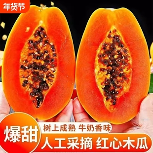 红心牛奶木瓜新鲜木瓜水果当季树上自然熟冰糖心青皮木瓜现摘整箱