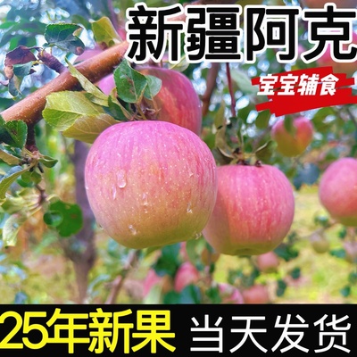 阿克苏冰糖心红富士脆爽多汁