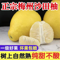 包邮正宗梅州沙田柚柚子梅县金柚白心肉孕妇当季新鲜水果整箱爆甜