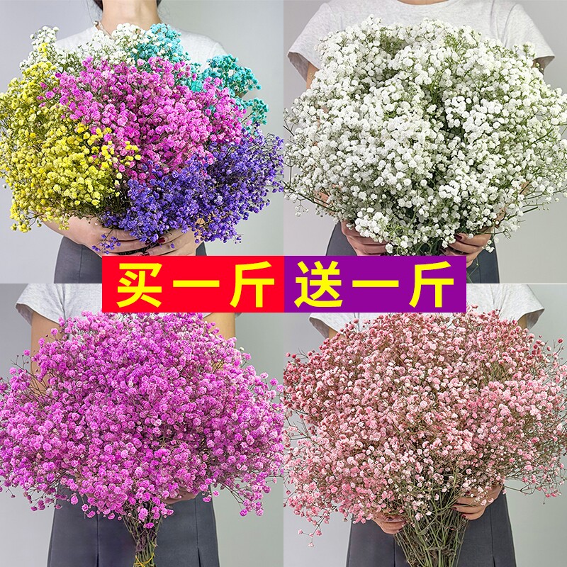 满天星轻奢干花花束客厅摆设装饰摆件云南永生花风干插花真花摆放