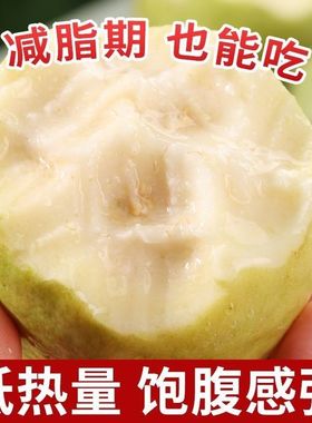 包邮广东软糯软心芭乐水果茂名当季奶油软白番石榴应季新鲜