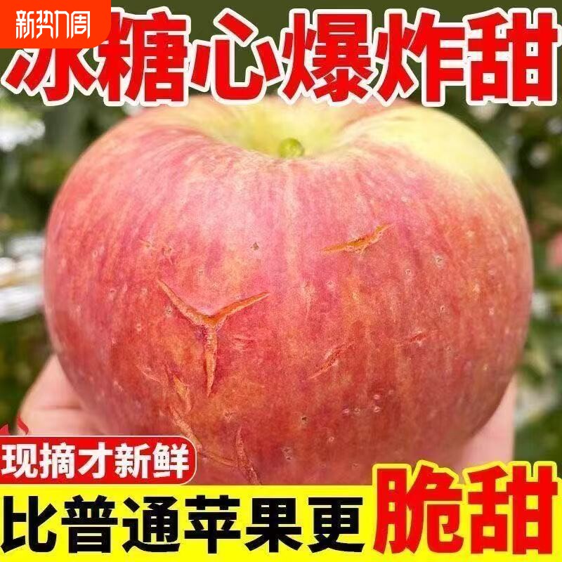 【爆甜】正宗冰糖心高山丑苹果红富士新鲜水果当季脆甜批发一整箱